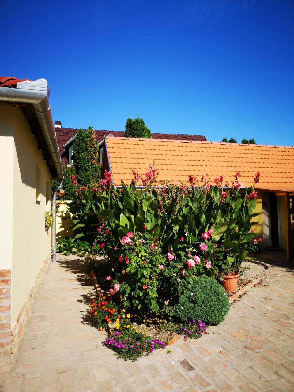 Raday Apartman Mako Exterior photo