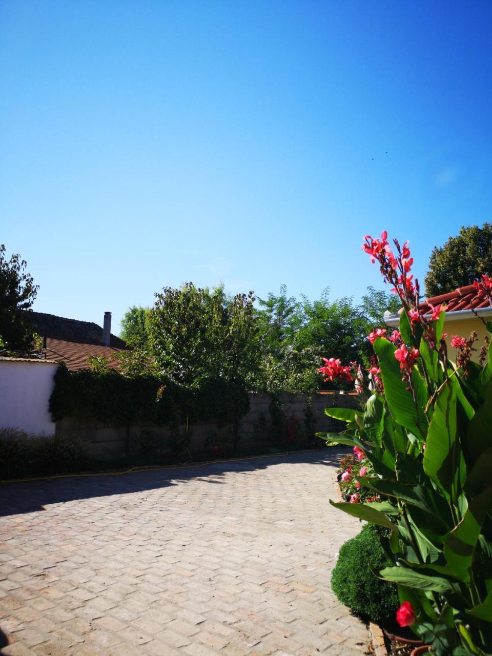 Raday Apartman Mako Exterior photo