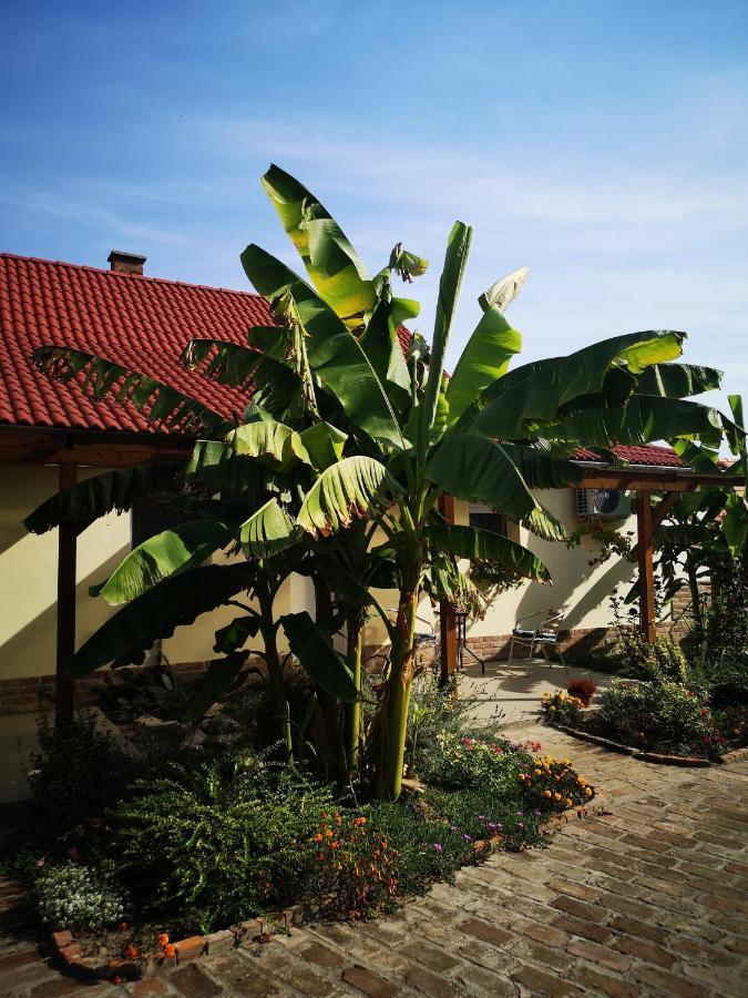 Raday Apartman Mako Exterior photo