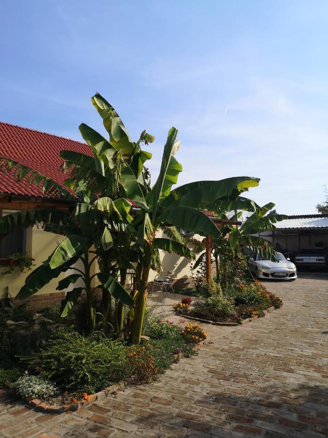 Raday Apartman Mako Exterior photo